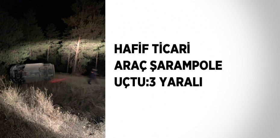 HAFİF TİCARİ ARAÇ ŞARAMPOLE UÇTU:3 YARALI