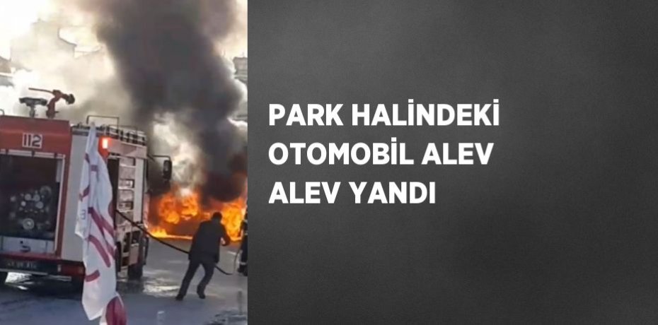 PARK HALİNDEKİ OTOMOBİL ALEV ALEV YANDI