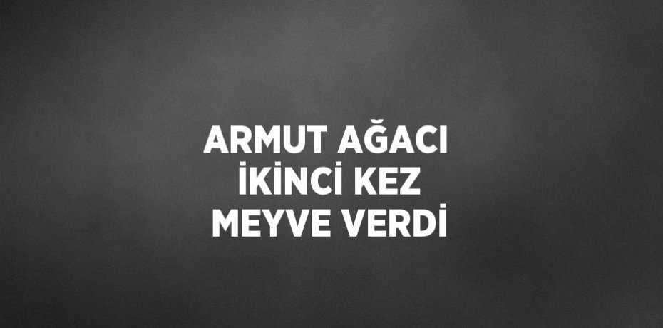 ARMUT AĞACI İKİNCİ KEZ MEYVE VERDİ