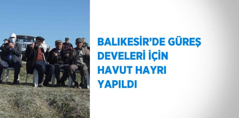 BALIKESİR’DE GÜREŞ DEVELERİ İÇİN HAVUT HAYRI YAPILDI