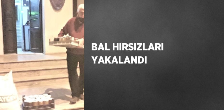 BAL HIRSIZLARI YAKALANDI