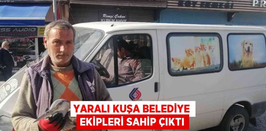 YARALI KUŞA BELEDİYE EKİPLERİ SAHİP ÇIKTI