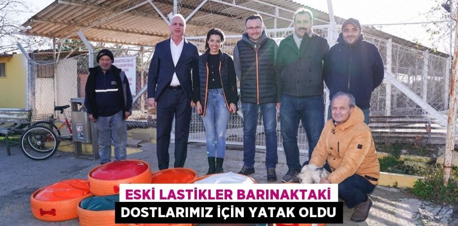 ESKİ LASTİKLER BARINAKTAKİ DOSTLARIMIZ İÇİN YATAK OLDU