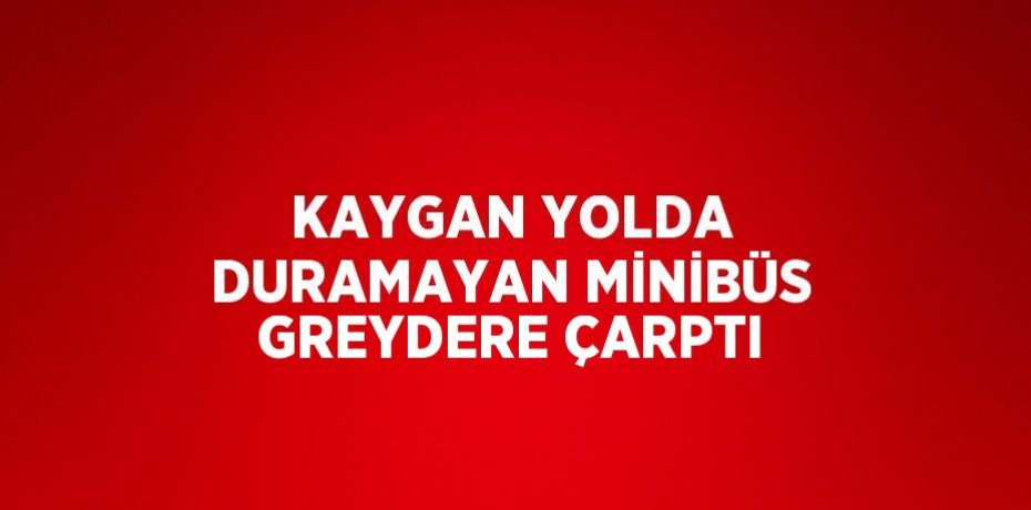 KAYGAN YOLDA DURAMAYAN MİNİBÜS GREYDERE ÇARPTI