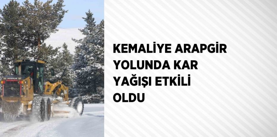 KEMALİYE ARAPGİR YOLUNDA KAR YAĞIŞI ETKİLİ OLDU