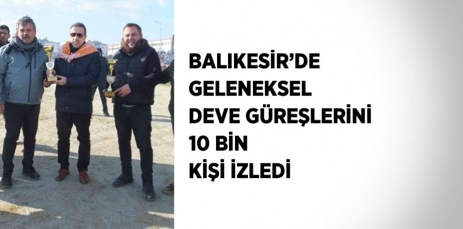 BALIKESİR’DE GELENEKSEL DEVE GÜREŞLERİNİ 10 BİN KİŞİ İZLEDİ
