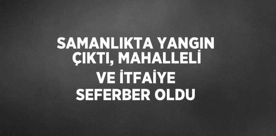 SAMANLIKTA YANGIN ÇIKTI, MAHALLELİ VE İTFAİYE SEFERBER OLDU