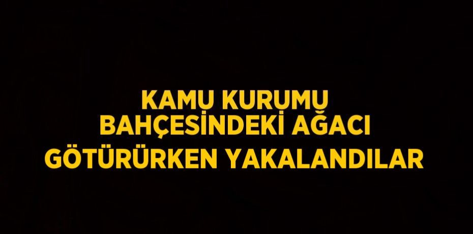 KAMU KURUMU BAHÇESİNDEKİ AĞACI GÖTÜRÜRKEN YAKALANDILAR