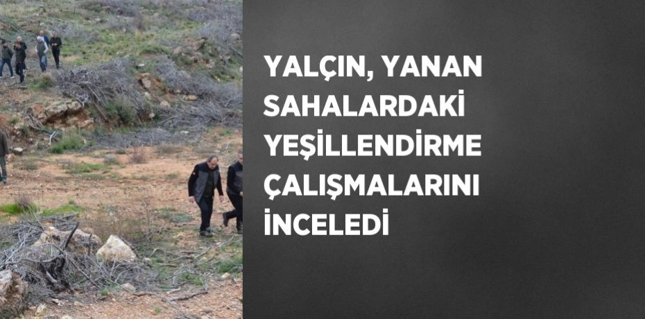 YALÇIN, YANAN SAHALARDAKİ YEŞİLLENDİRME ÇALIŞMALARINI İNCELEDİ