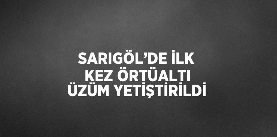 SARIGÖL’DE İLK KEZ ÖRTÜALTI ÜZÜM YETİŞTİRİLDİ