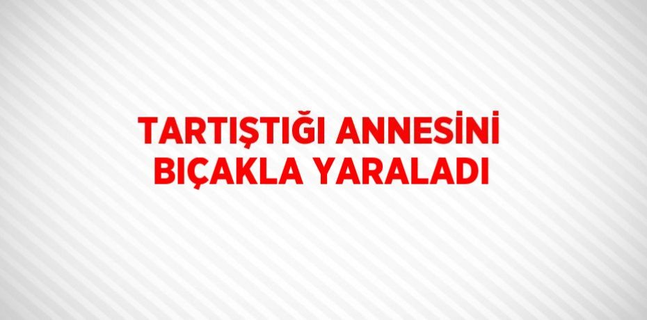 TARTIŞTIĞI ANNESİNİ BIÇAKLA YARALADI