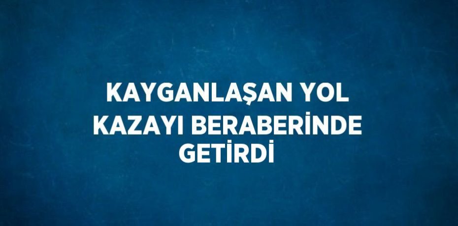 KAYGANLAŞAN YOL KAZAYI BERABERİNDE GETİRDİ