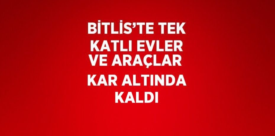 BİTLİS’TE TEK KATLI EVLER VE ARAÇLAR KAR ALTINDA KALDI