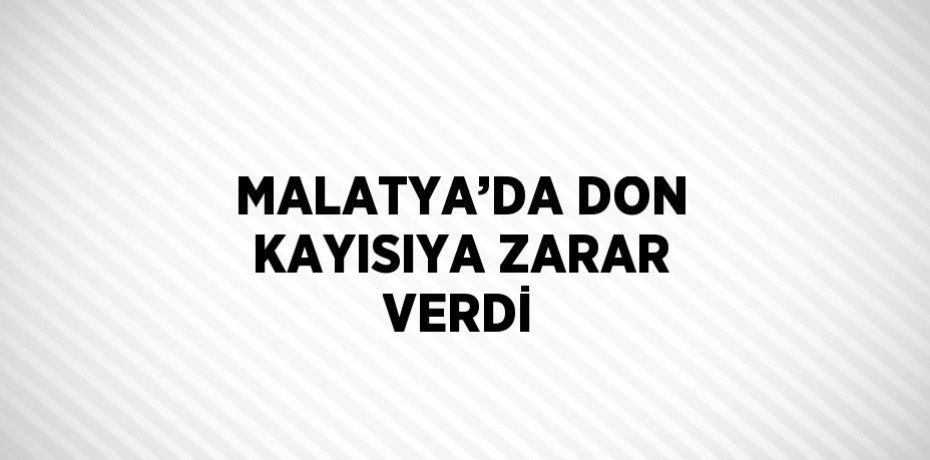 MALATYA’DA DON KAYISIYA ZARAR VERDİ