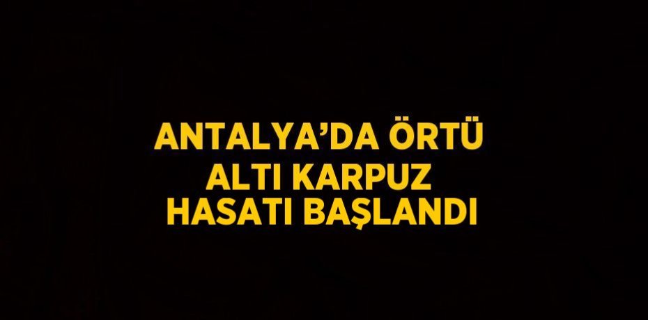 ANTALYA’DA ÖRTÜ ALTI KARPUZ HASATI BAŞLANDI