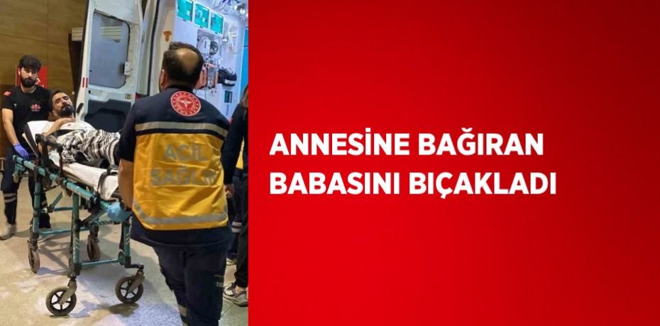 ANNESİNE BAĞIRAN BABASINI BIÇAKLADI