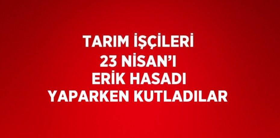 TARIM İŞÇİLERİ 23 NİSAN’I ERİK HASADI YAPARKEN KUTLADILAR