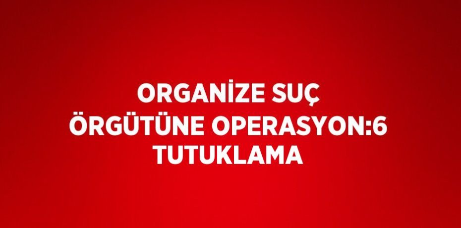 ORGANİZE SUÇ ÖRGÜTÜNE OPERASYON:6 TUTUKLAMA