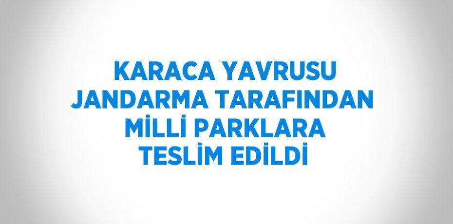 KARACA YAVRUSU JANDARMA TARAFINDAN MİLLİ PARKLARA TESLİM EDİLDİ