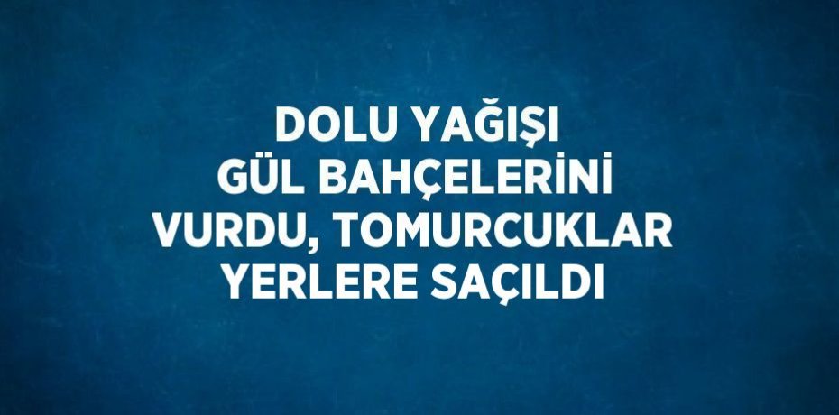 DOLU YAĞIŞI GÜL BAHÇELERİNİ VURDU, TOMURCUKLAR YERLERE SAÇILDI
