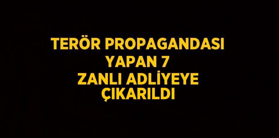 TERÖR PROPAGANDASI YAPAN 7 ZANLI ADLİYEYE ÇIKARILDI