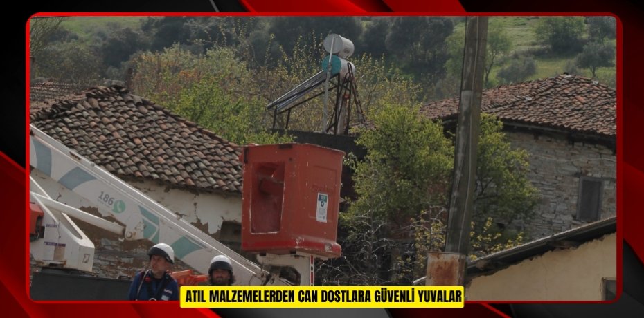  Atıl malzemelerden can dostlara güvenli yuvalar  