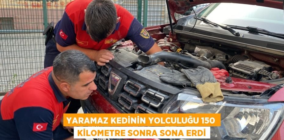 Yaramaz kedinin yolculuğu 150 kilometre sonra sona erdi