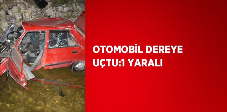 OTOMOBİL DEREYE UÇTU:1 YARALI