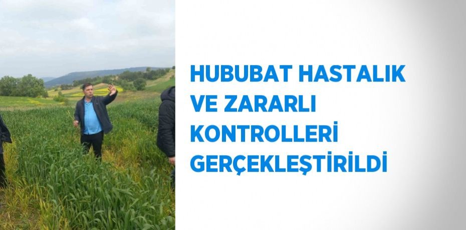 HUBUBAT HASTALIK VE ZARARLI KONTROLLERİ GERÇEKLEŞTİRİLDİ