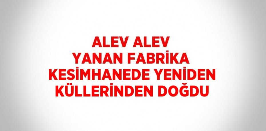 ALEV ALEV YANAN FABRİKA KESİMHANEDE YENİDEN KÜLLERİNDEN DOĞDU