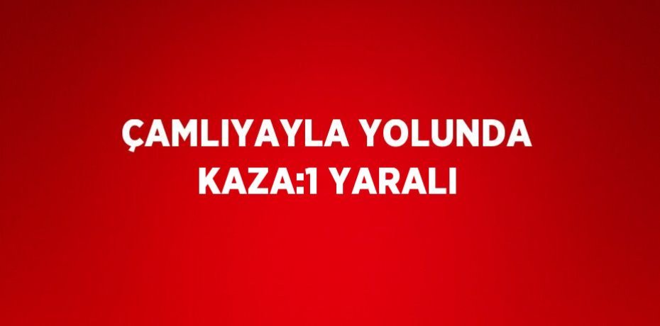 ÇAMLIYAYLA YOLUNDA KAZA:1 YARALI