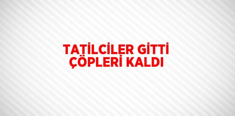 TATİLCİLER GİTTİ ÇÖPLERİ KALDI