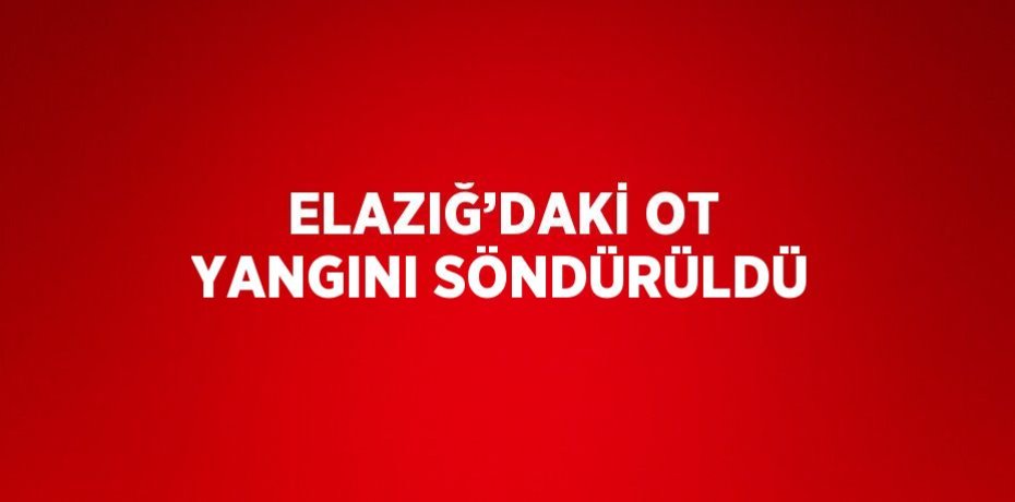 ELAZIĞ’DAKİ OT YANGINI SÖNDÜRÜLDÜ
