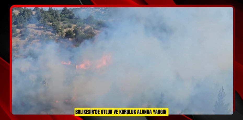 Balıkesir'de otluk ve koruluk alanda yangın 