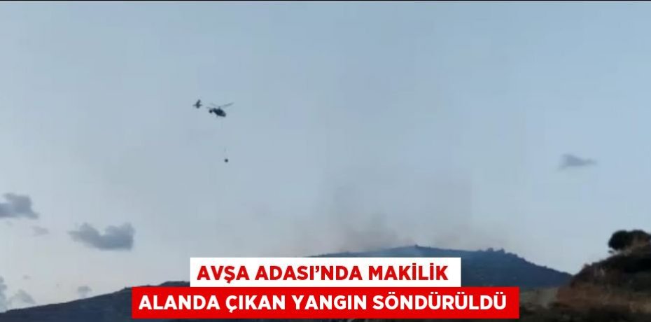 AVŞA ADASI’NDA MAKİLİK ALANDA ÇIKAN YANGIN SÖNDÜRÜLDÜ