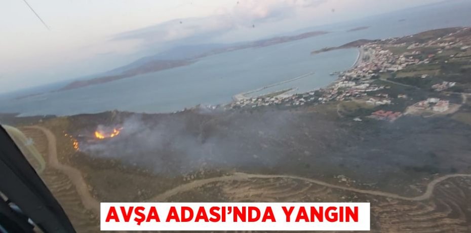 AVŞA ADASI’NDA YANGIN