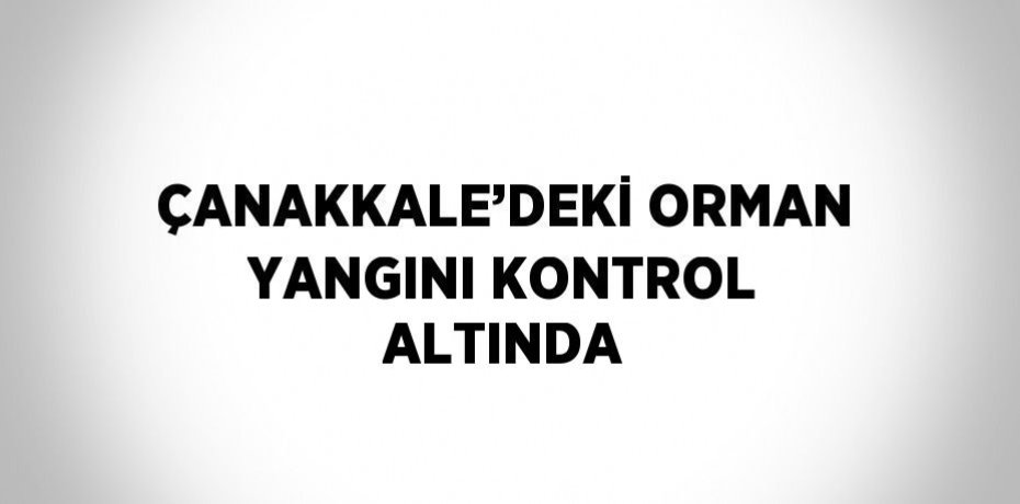 ÇANAKKALE’DEKİ ORMAN YANGINI KONTROL ALTINDA