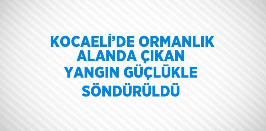KOCAELİ’DE ORMANLIK ALANDA ÇIKAN YANGIN GÜÇLÜKLE SÖNDÜRÜLDÜ