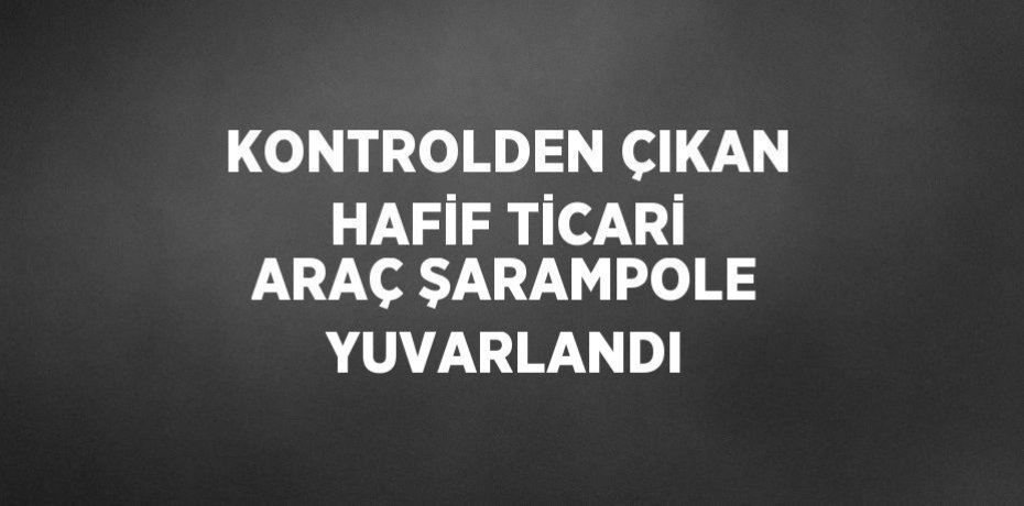 KONTROLDEN ÇIKAN HAFİF TİCARİ ARAÇ ŞARAMPOLE YUVARLANDI