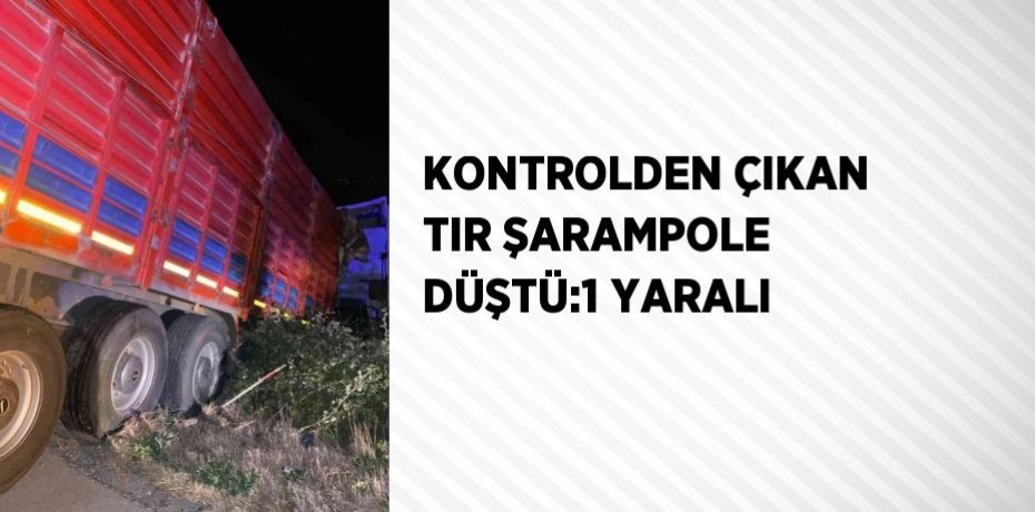 KONTROLDEN ÇIKAN TIR ŞARAMPOLE DÜŞTÜ:1 YARALI