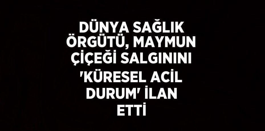 DÜNYA SAĞLIK ÖRGÜTÜ, MAYMUN ÇİÇEĞİ SALGININI 'KÜRESEL ACİL DURUM' İLAN ETTİ