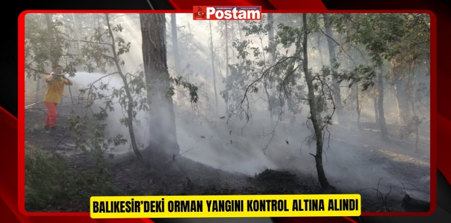 Balıkesir’deki orman yangını kontrol altına alındı