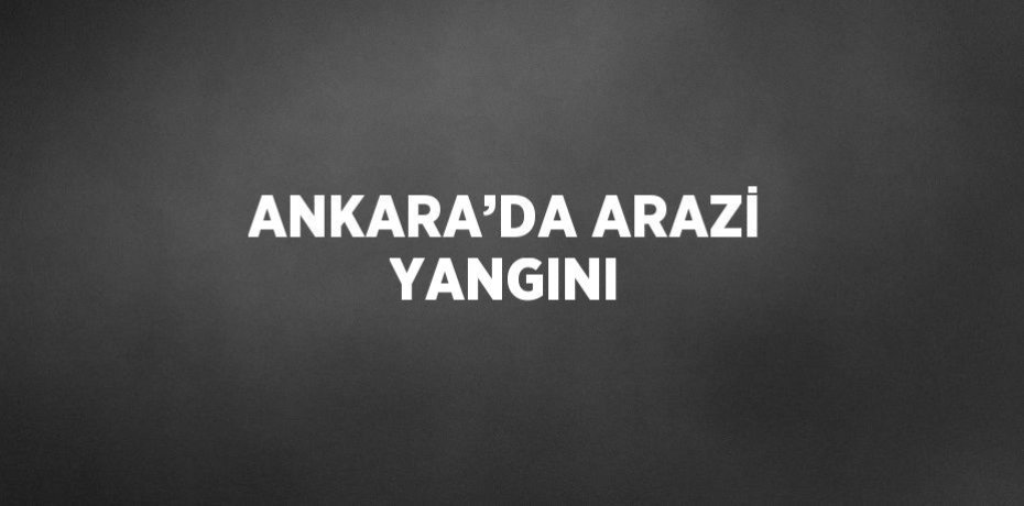 ANKARA’DA ARAZİ YANGINI
