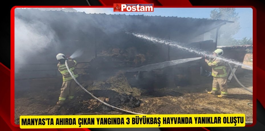 Manyas'ta ahırda çıkan yangında 3 büyükbaş hayvanda yanıklar oluştu