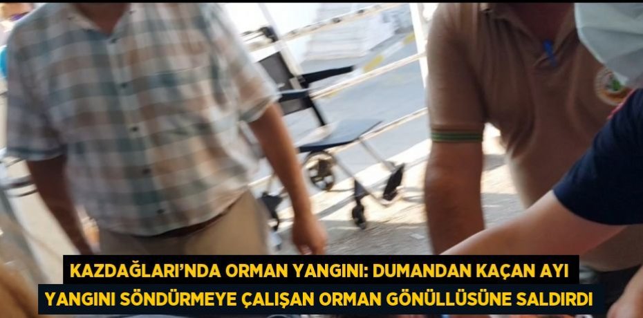 KAZDAĞLARI’NDA ORMAN YANGINI: DUMANDAN KAÇAN AYI YANGINI SÖNDÜRMEYE ÇALIŞAN ORMAN GÖNÜLLÜSÜNE SALDIRDI