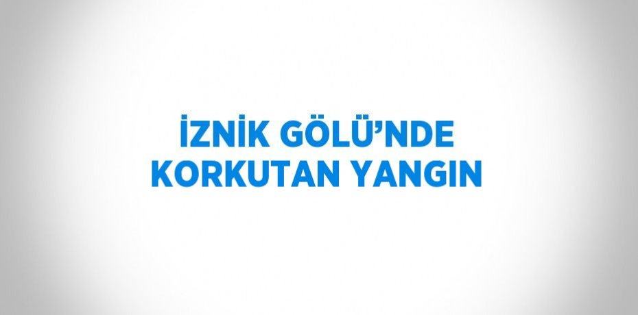 İZNİK GÖLÜ’NDE KORKUTAN YANGIN
