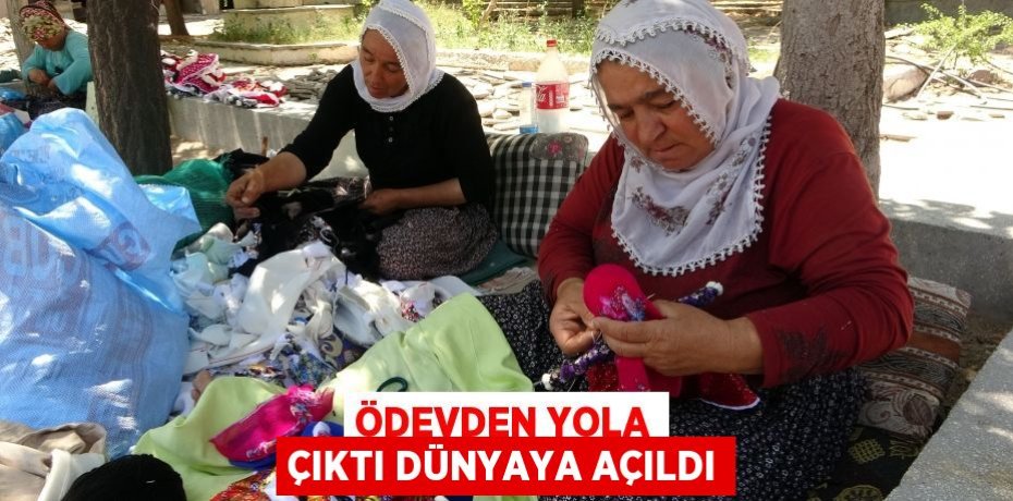 Ödevden yola çıktı dünyaya açıldı