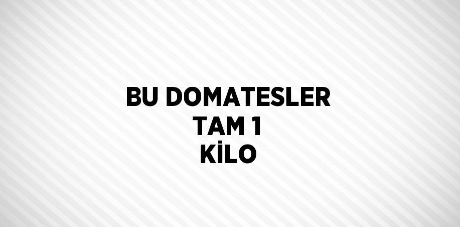 BU DOMATESLER TAM 1 KİLO