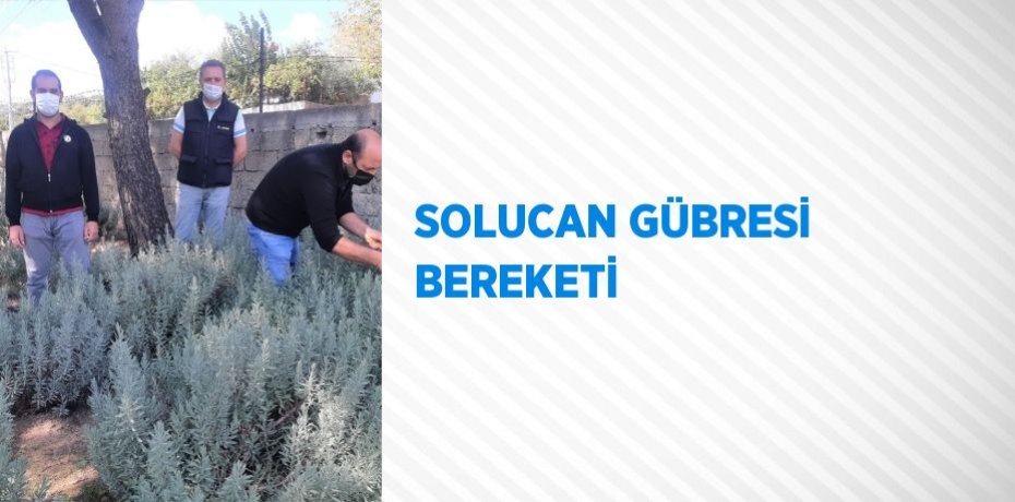 SOLUCAN GÜBRESİ BEREKETİ