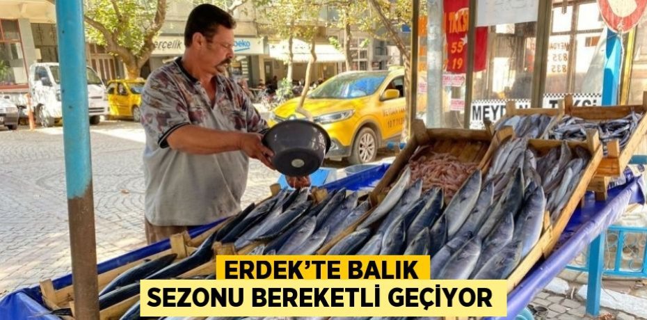 ERDEK’TE BALIK SEZONU BEREKETLİ GEÇİYOR